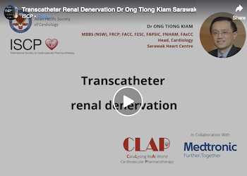 Transcatheter Renal Denervation